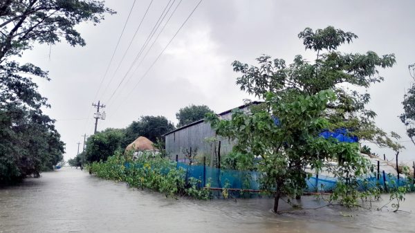 মোহনগঞ্জে পানি বৃদ্ধি বন্যার আশংকা